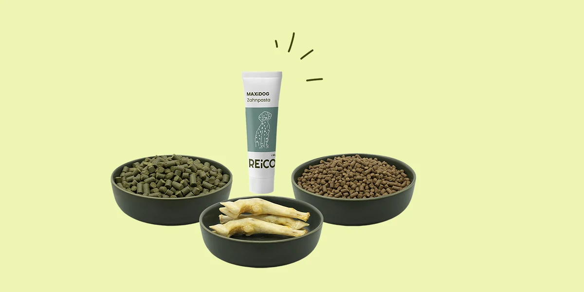REiCO-Sortiment mit Futternäpfen, Kauartikeln und MAXiDOG-Zahnpasta.