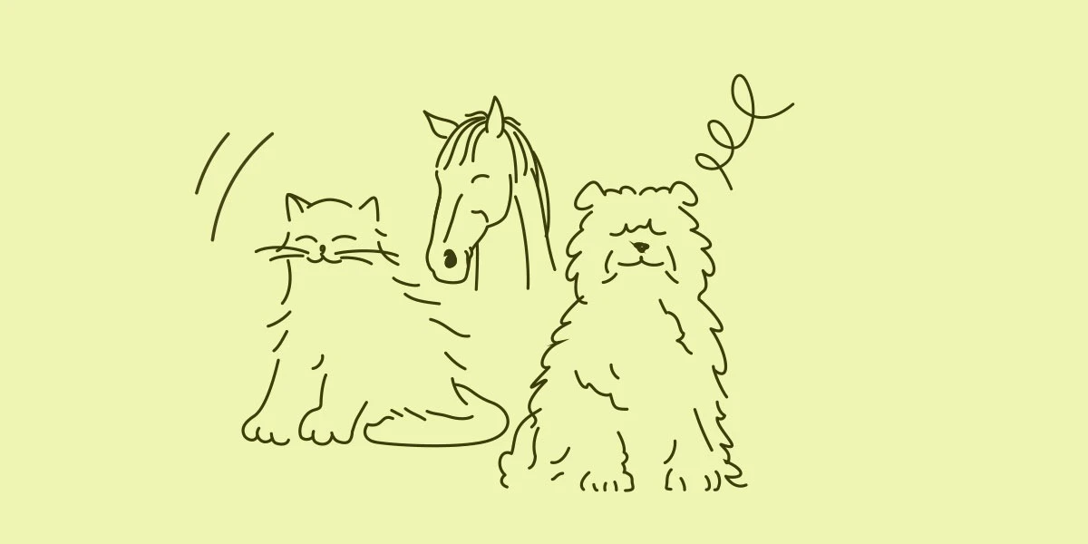 Die REiCO-Tierwelt mit den gezeichneten Motiven von Katze, Pferd und Hund.