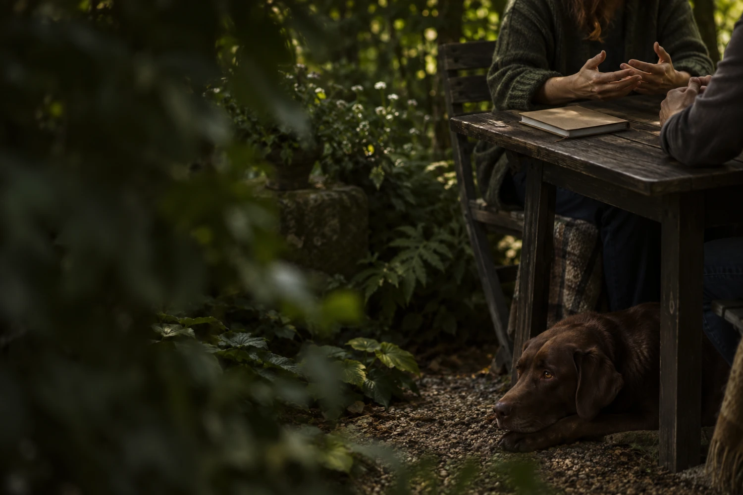 Ruhiges Gespräch im Garten mit einem entspannten Hund neben dem Tisch.